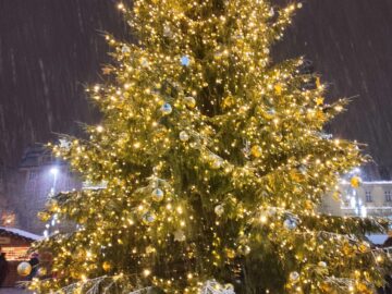 V Ostravě se kvůli prasklině v kmeni musel vyměnit vánoční strom