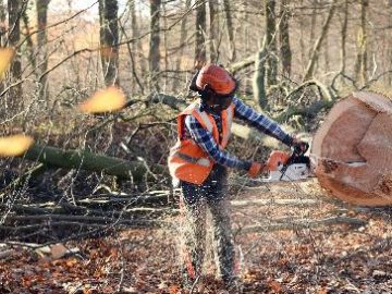 BOZP a změny zákonů pro rok 2018 práce v lese